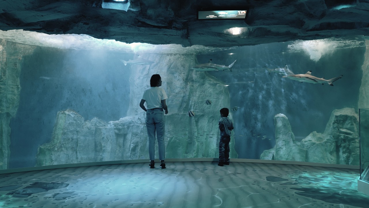 La grotte sous-marine