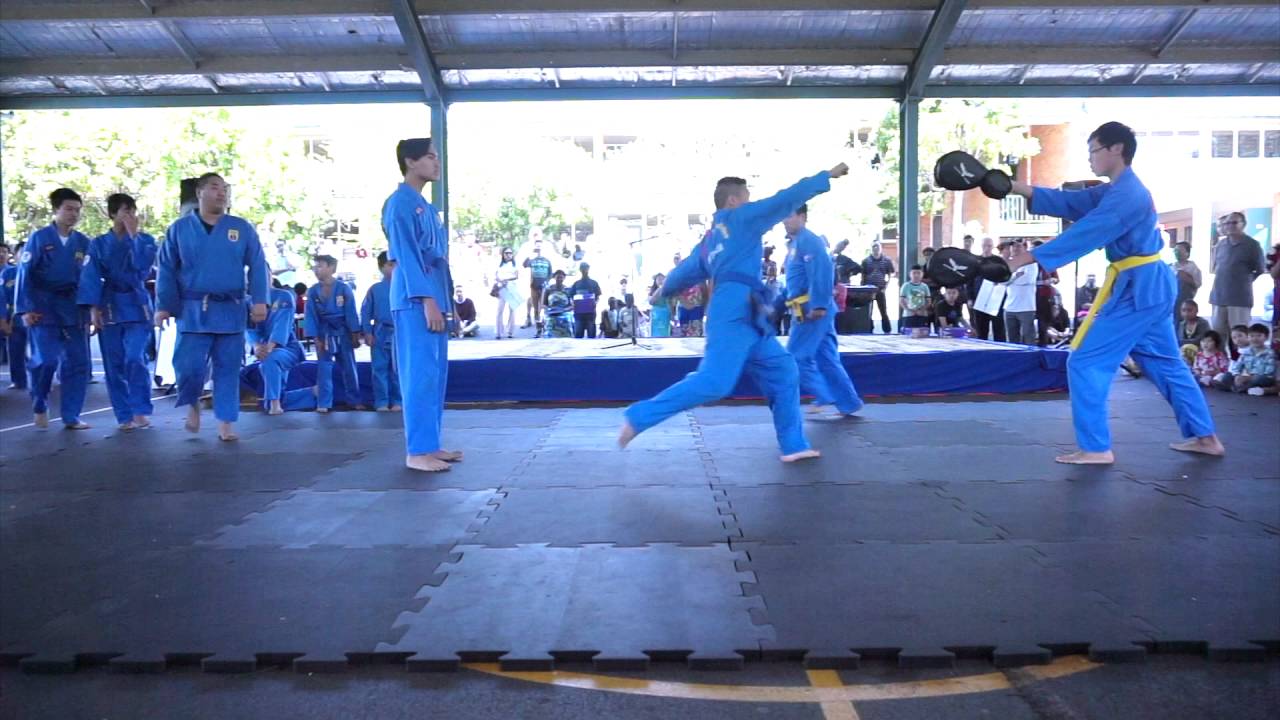 HD Kickpads
