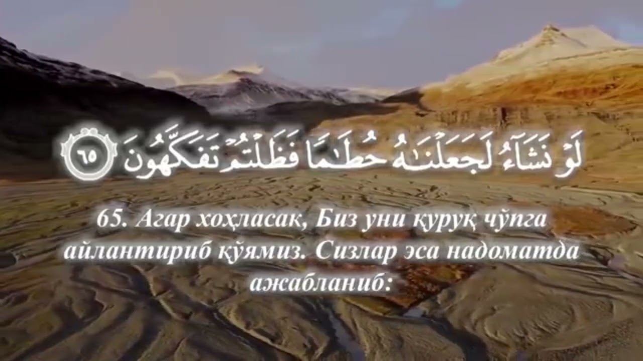 Алишер кори #quran #hafizquran #taravih #surahalvaqia Вокиа сураси