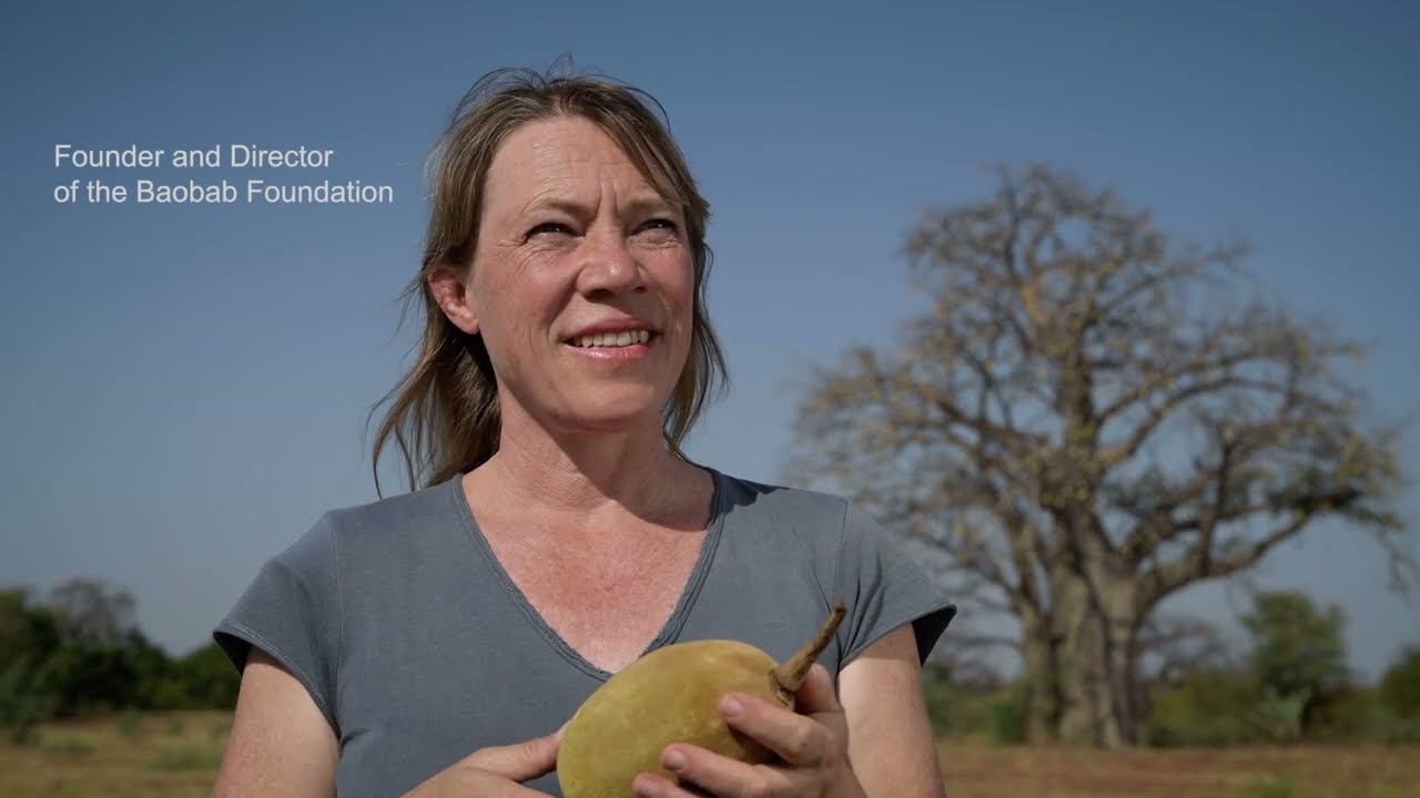 2024 Baobab Foundation