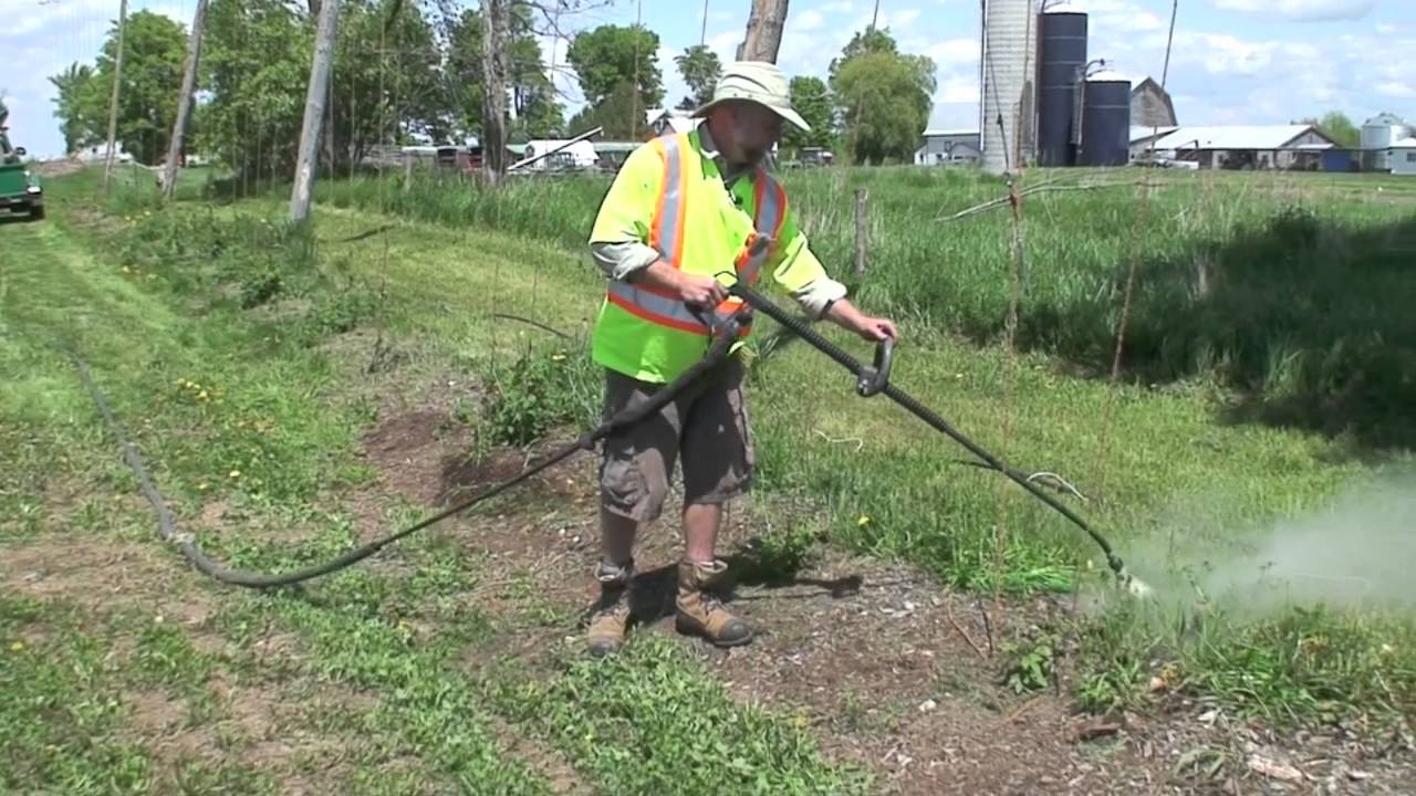 Steam Weeding for Weed Control in an Organic Hopyard