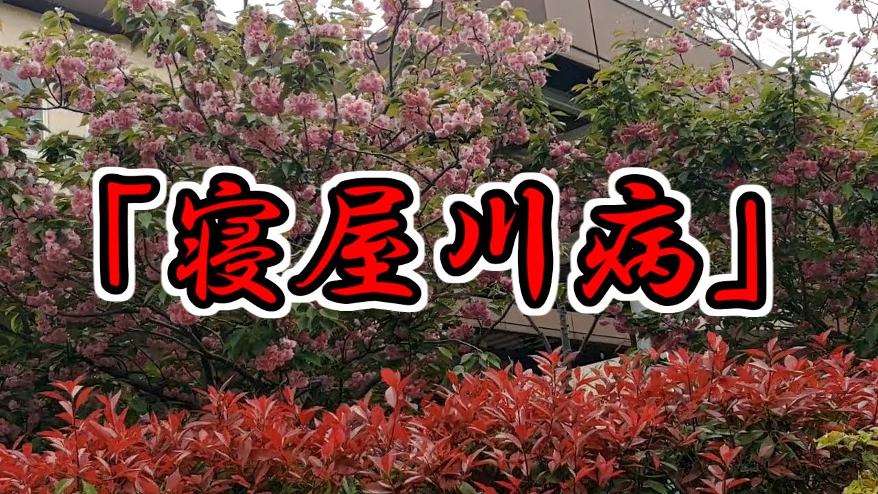 【寝屋川市】高速道路、廃プラ処理施設！すんごく臭う！