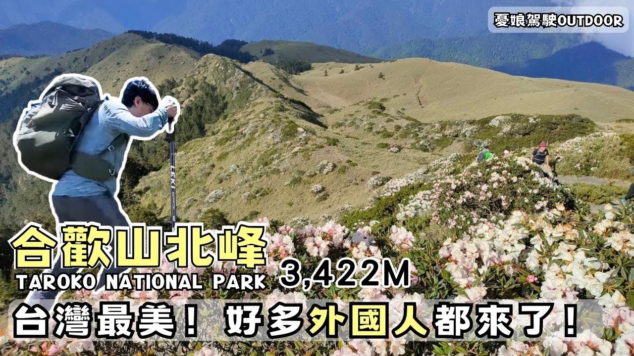 台灣比國外還美！【合歡北峰最美季節｜小風口停車場現況】國家公園無明火料理｜登山車泊｜台灣環島旅行｜Van Life《憂娘駕駛Outdoor》
