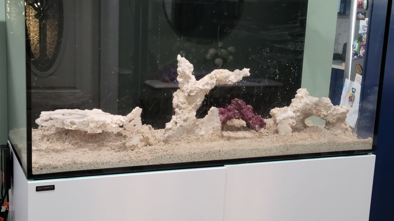 Adding My Rockscape. I Tried. Waterbox 110.4