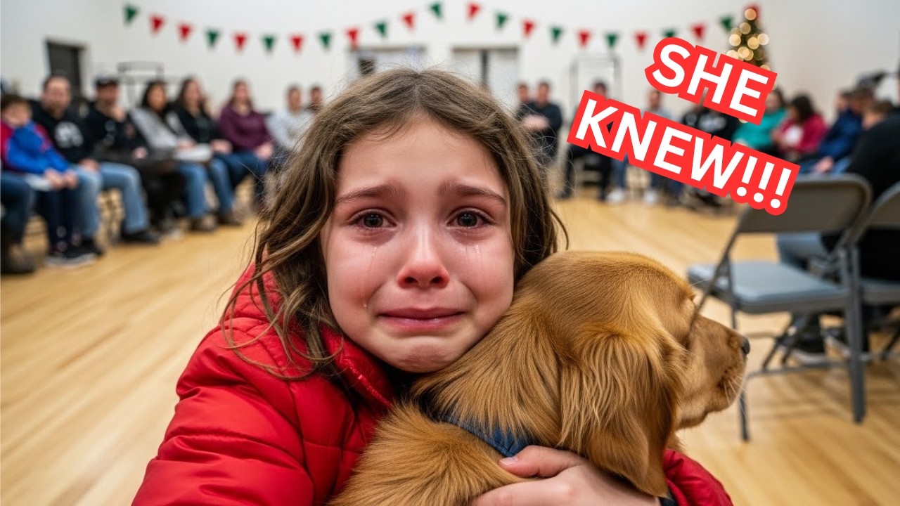 She Refused Every Family on Adoption Day. Then We Realized Who She Was Waiting For. 🐾✨
