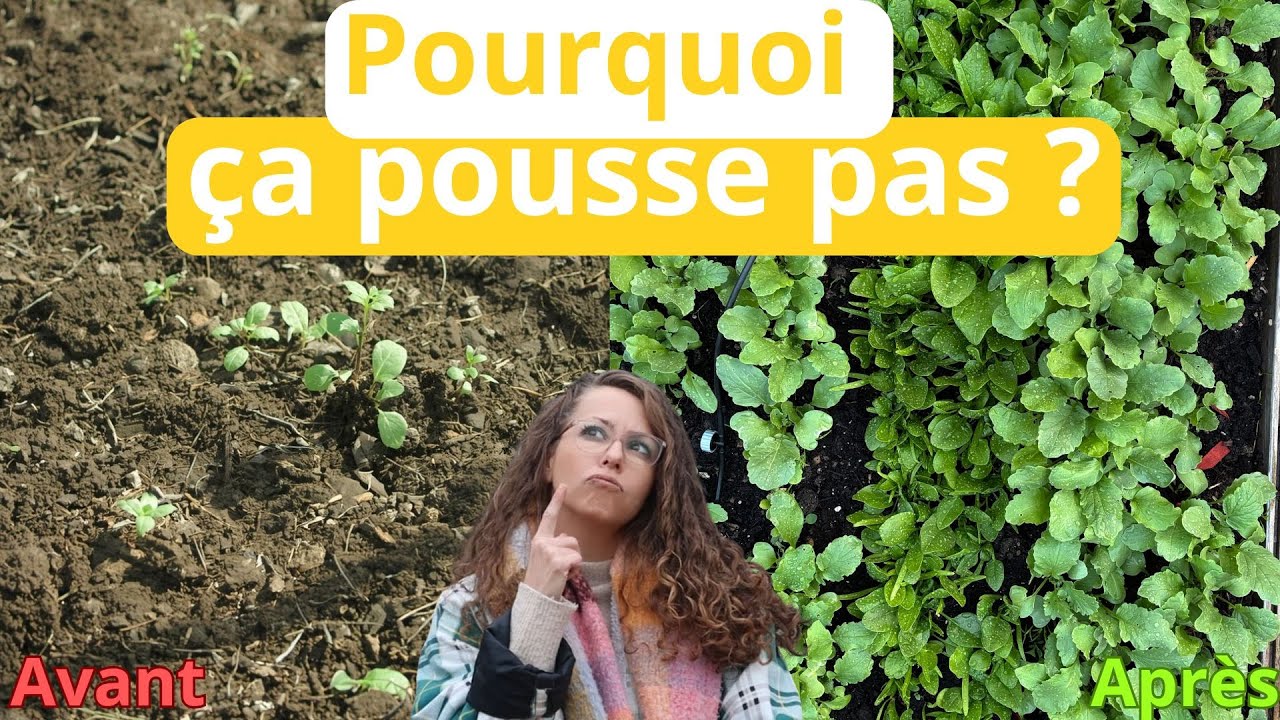 🌱 Pourquoi ça ne pousse pas au potager ? Comprendre le sol et sa structure #potager #jardinage #bio