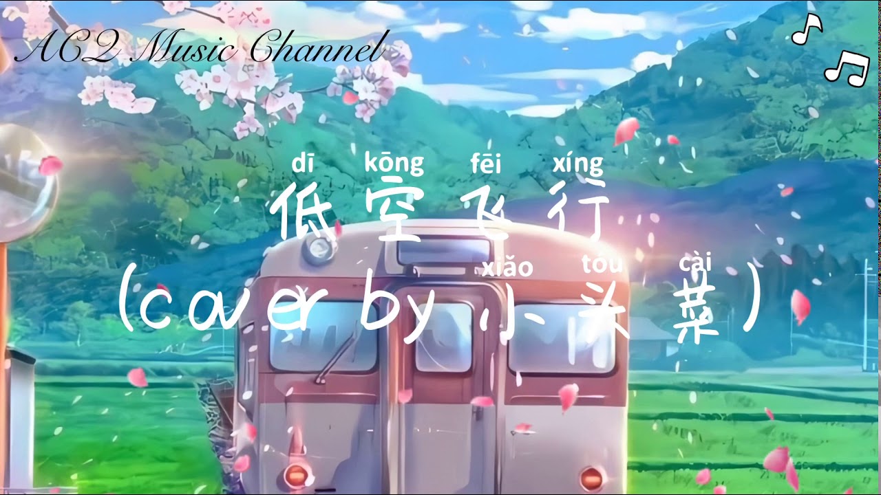 【抖音神曲】小头菜-低空飞行 「我打破了天 我打破了地」动态歌词 Lyrics