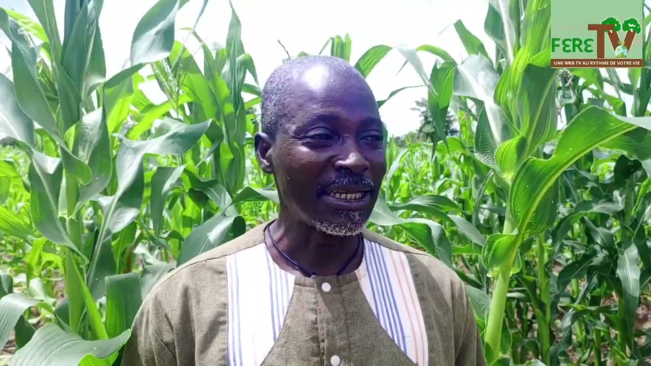Chez Madou KANÉ à Seriwala Beleniko 