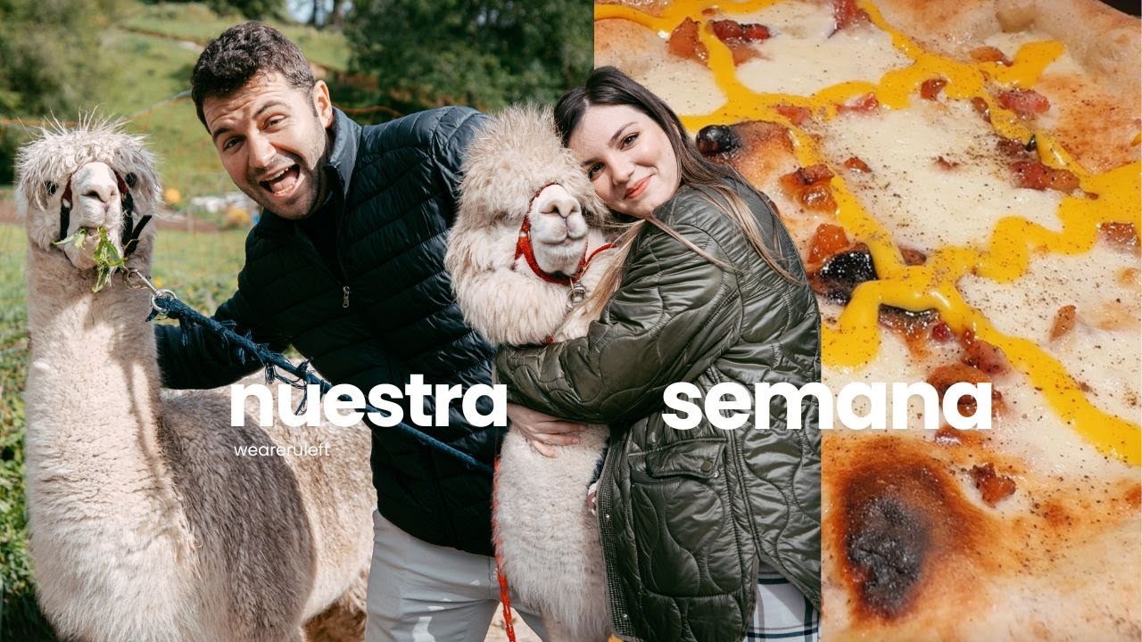 NUESTRA SEMANA | VLOG 4 | Visitamos una GRANJA DE ALPACAS | weareruleft