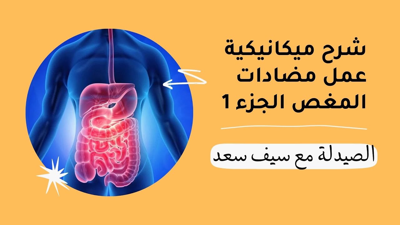 ميكانيكية عمل مضادات المغص أو التقلص الجزء الأول - Mechanism of action of antispasmodics part 1