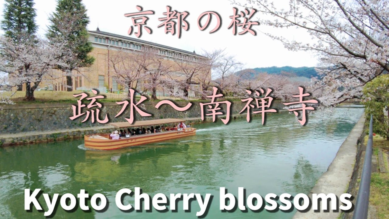 3/29(火)【南禅寺の桜🌸散策】岡崎疎水～南禅寺～水路閣　【4K】Kyoto Japan walking tour