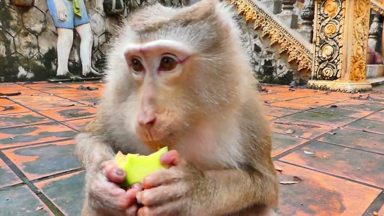 Long Satisfying Eating Sound ASMR