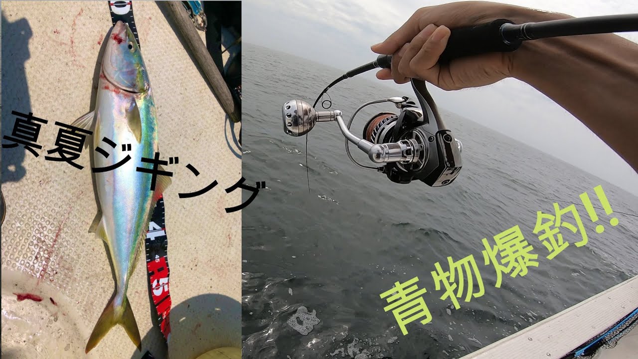 瀬戸内ジギング！　明石エリアへジギングに行ってきたよ (Japanese Yellowtail jigging. In Hyogo prefecture.)