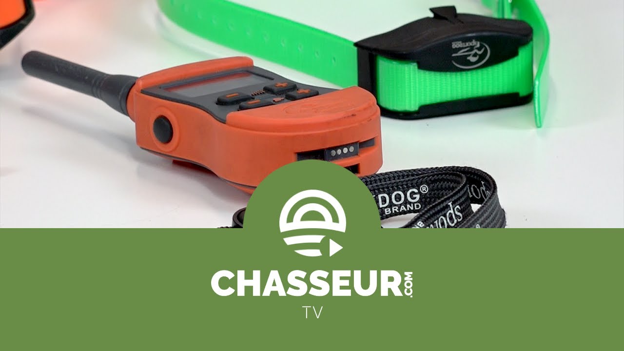 Colliers SportDOG SportTrainer - Tuto Chasseur.com