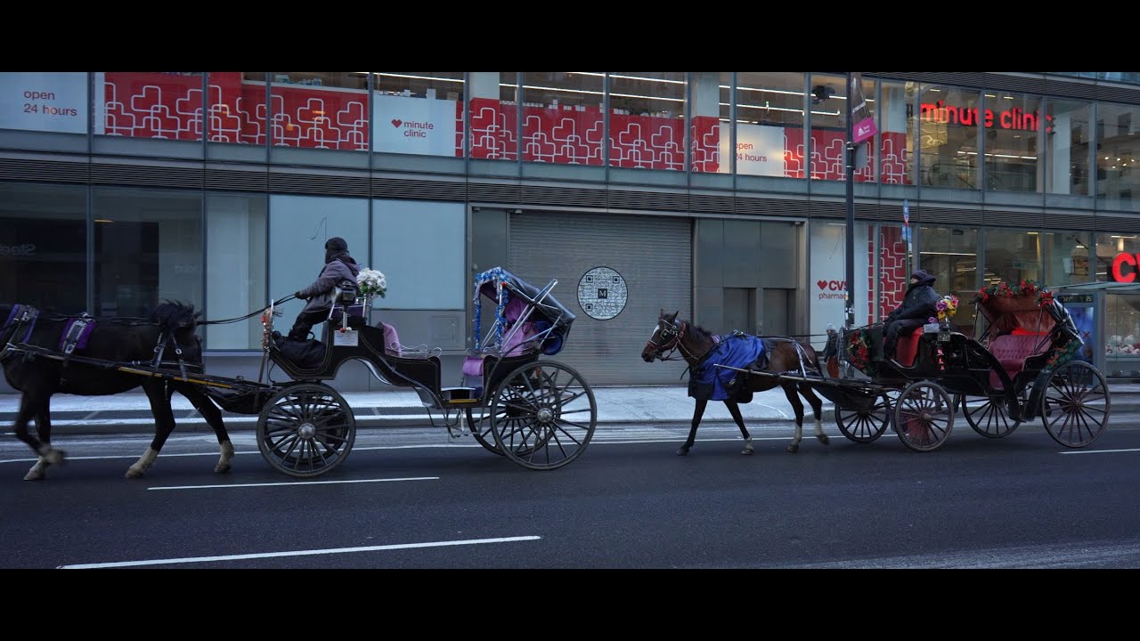 New York Christmas 4k