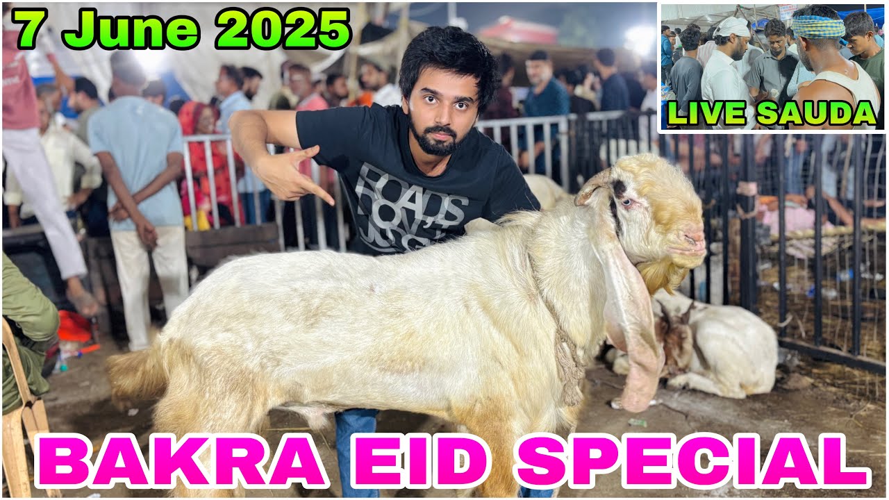 DEONAR BAKRA MANDI BAKRA EID SPECIAL LATEST UPDATE 7 June 2025 MANDI MEIN BAKRA KHATAM LALA |