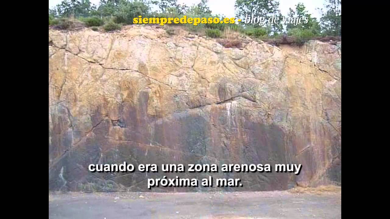 El Bosque F&oacute;sil de Verde&ntilde;a (Palencia)