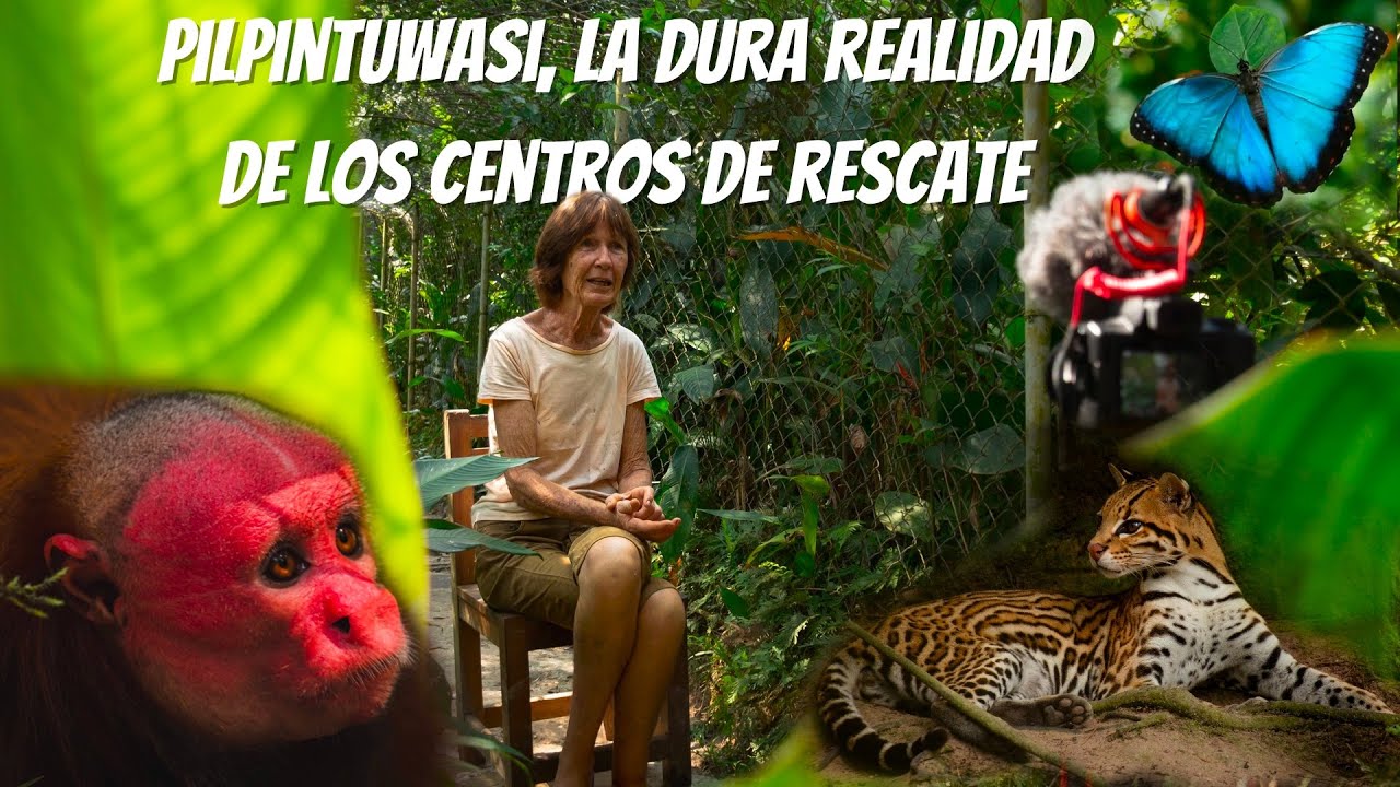CENTRO DE RESCATE, ENTREVISTA a la FUNDADORA (IQUITOS — PERÚ 🇵🇪)