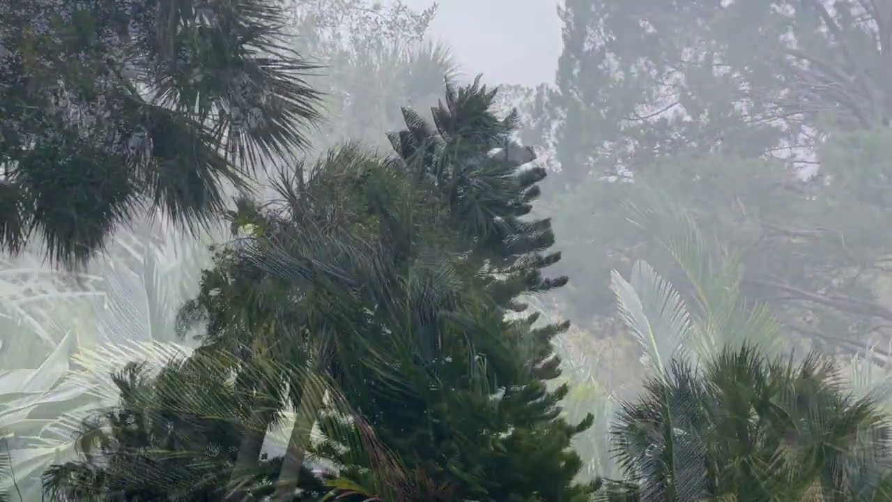 With the Wind - and the Rain