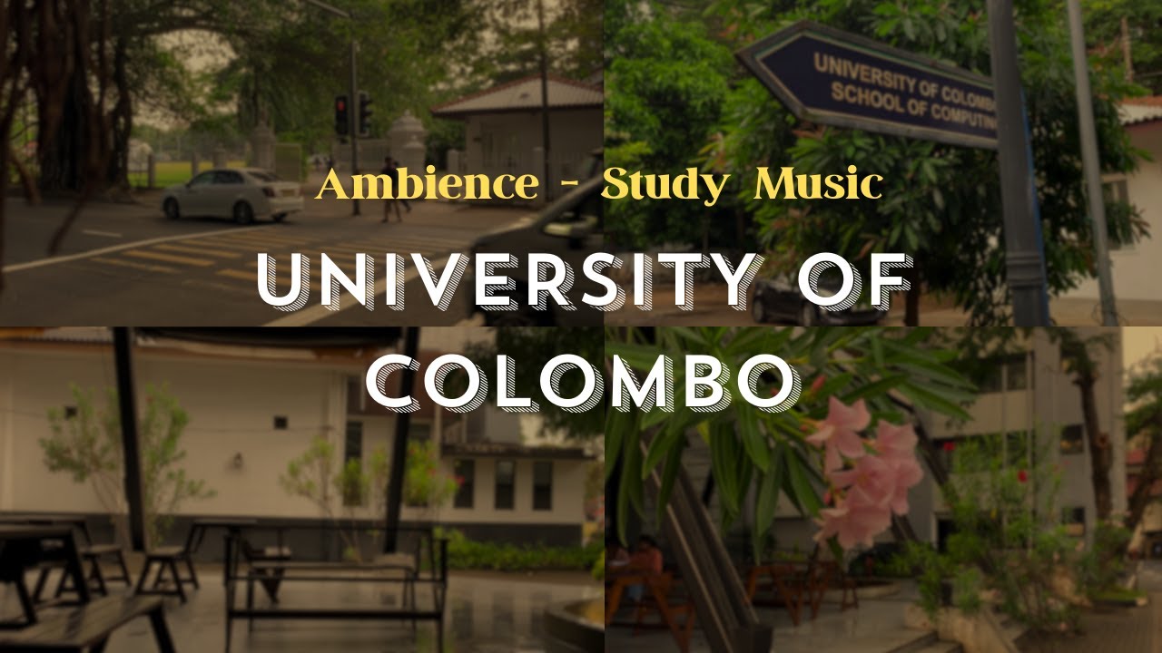 POV : You're a student at University of Colombo (No Voiceover) | UCSC | UOC | Study Motivation