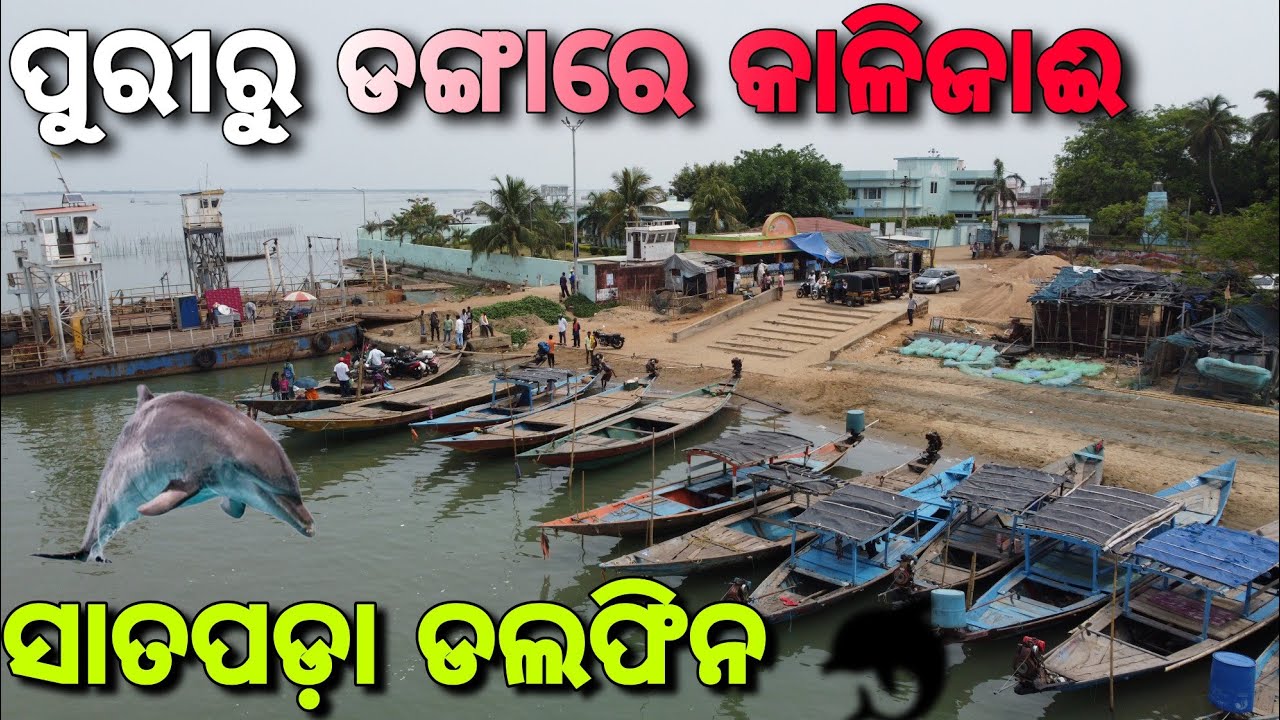 ଚିଲିକା ସାତପଡା ଡଲଫିନ | Puri To Chilika  | Part -01