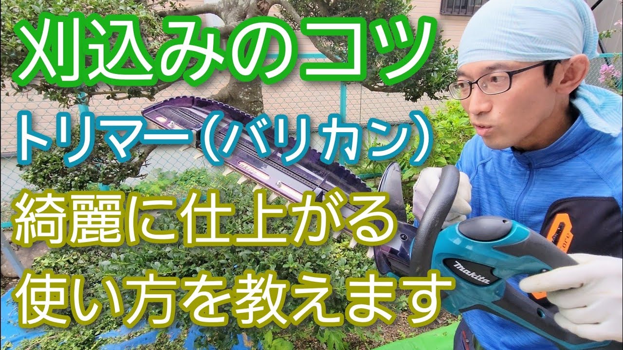 【庭木の刈り込み①】トリマー(バリカン)の使い方＆きれいに仕上がる剪定のコツ(2023年8月)🌳✨