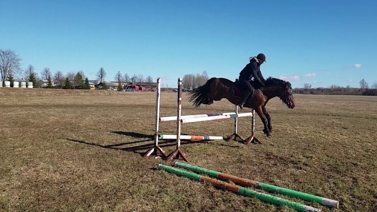 Viktor