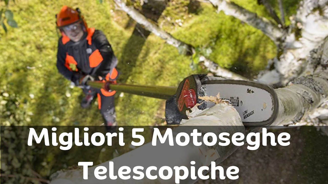 Motosega Telescopica per Potatura: Migliori modelli e Opinioni