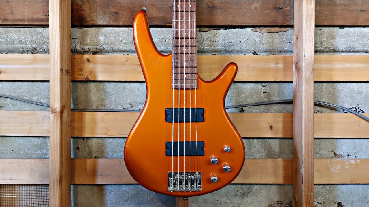 Ibanez Gio GSR205 Bass Cleaning/Repair