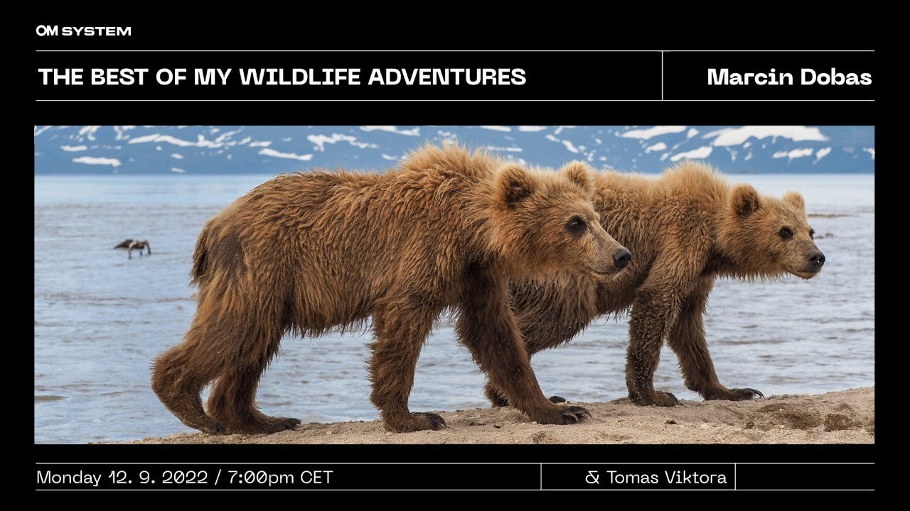 MY WILDLIFE ADVENTURES WITH OM SYSTEM BY MARCIN DOBAS