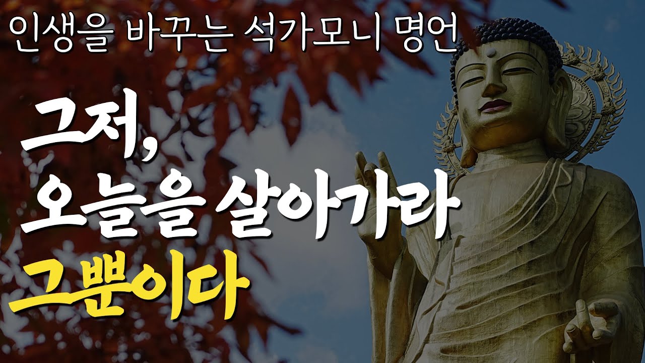 부처님 명언 | 마음이 편안해 지는 석가모니의 가르침 | 평온한 인생을 사는 비결 | 나이들수록 지혜로운 사람이 되는 비법 | 인생조언 | 삶의지혜 l 행복한노후 l 오디오북 법정