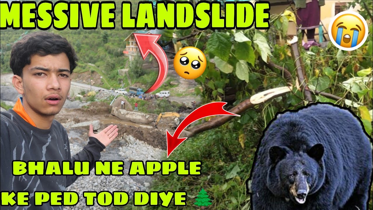 || MESSIVE LANDSLIDE KOTHI VILLAGE 😱 || BHALU NE APPLE  🍎 KE PED 🌲 TOD DIYE || 26,27 August 2025