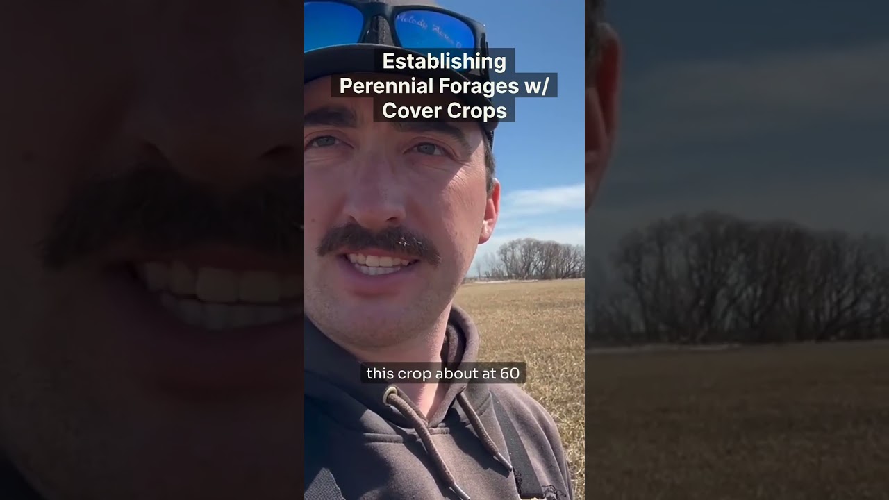 Establishing Perennial Forages w/ Cover Crops