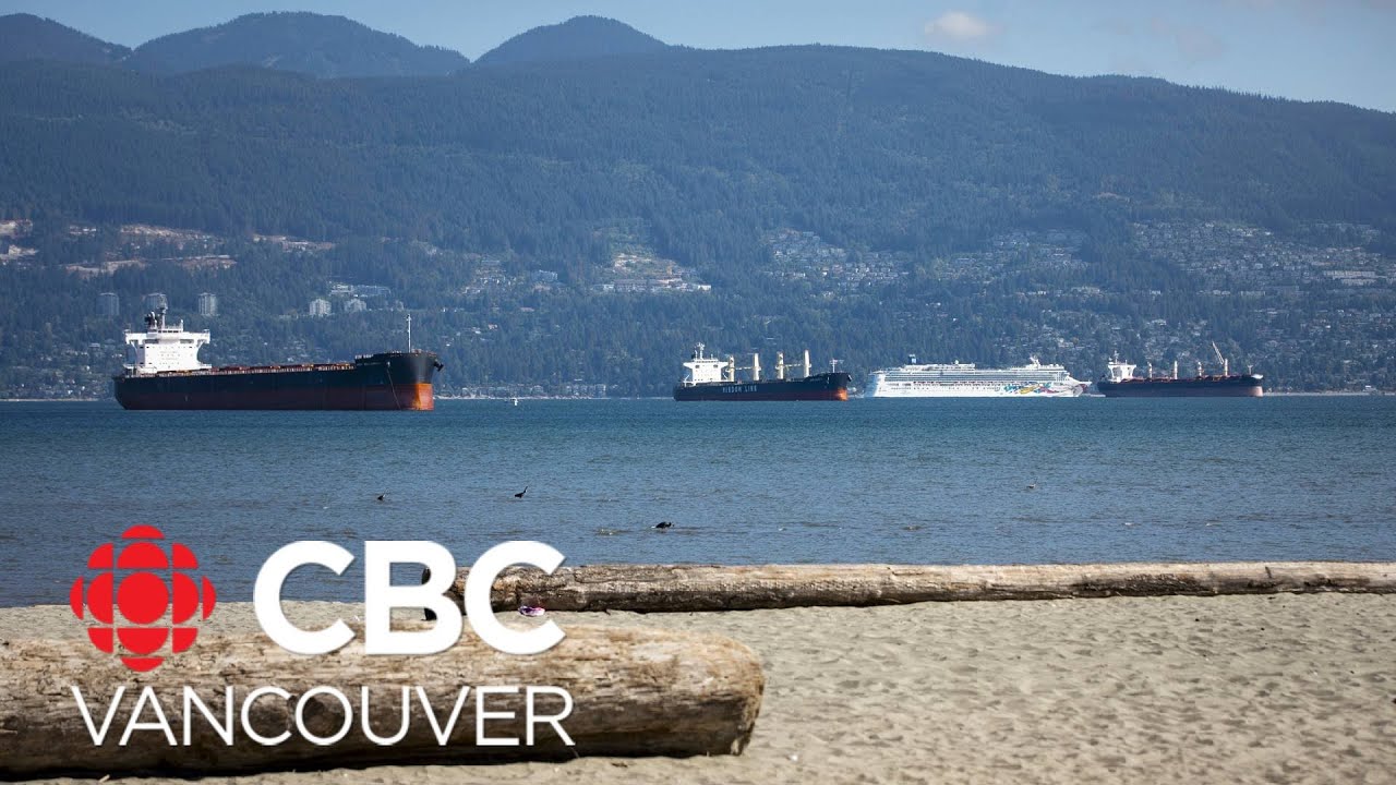 Environment Canada issues multiple heat wave warnings for B.C.