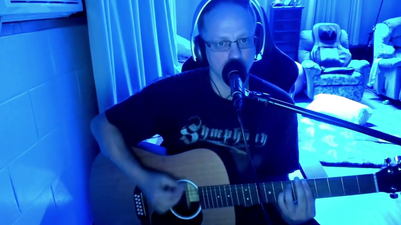 Can&rsquo;t Help Falling In Love Martin d12x1ae 12 String Cover