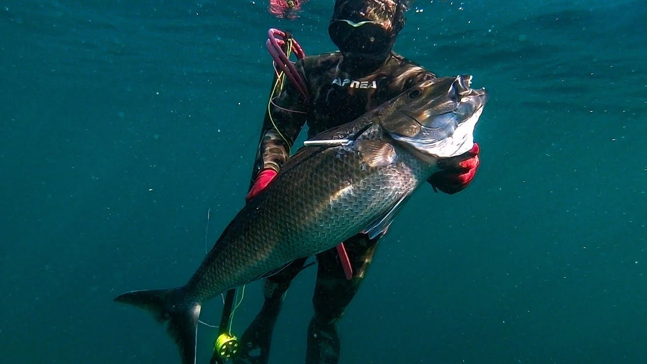 LUCK ON EVERY DROP! || CATCH N'COOK + SEA URCHINS! || SPEARFISHING PHILIPPINES!!