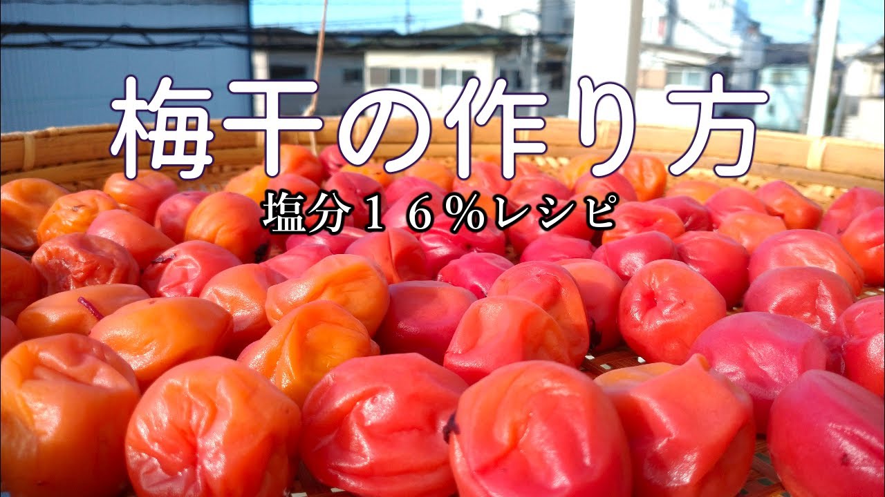 【塩分１６％】梅干しの作り方【完全版】