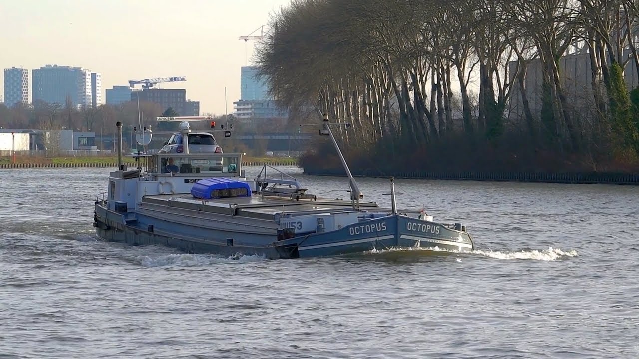 ⚓️'OCTOPUS' mooi vrachtschip (spits) uit Stree (B), 06001153, gespot 22 01 2026