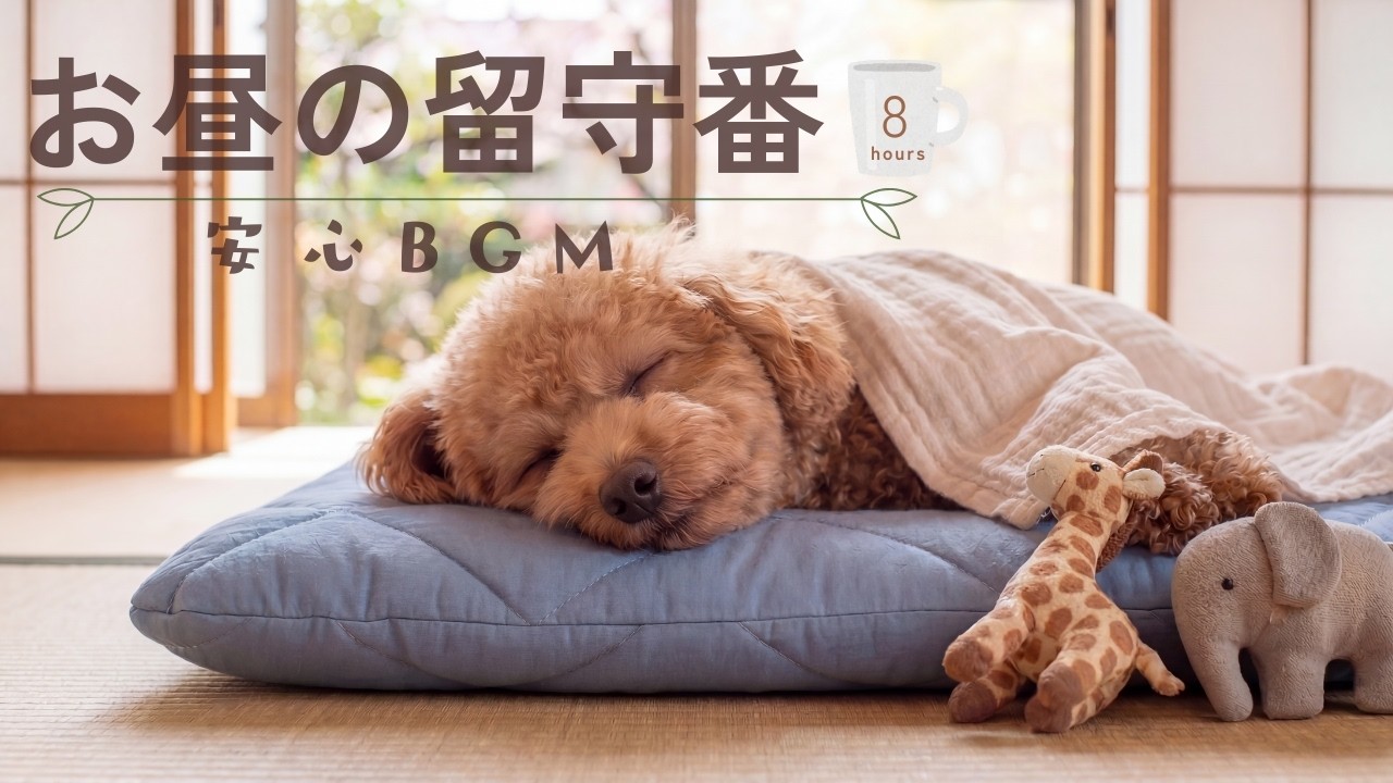 【昼の留守番】犬がよく寝る安心BGM｜犬が落ち着くリラックス音楽｜分離不安の犬に｜8時間｜Calming Dog Music | Relaxing Music for Dogs Home Alone