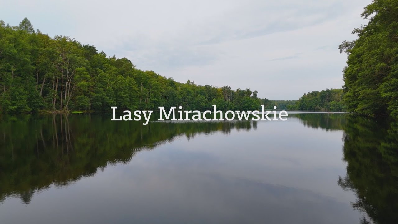 Skarbë Kaszëb - Lasy Mirachowskie