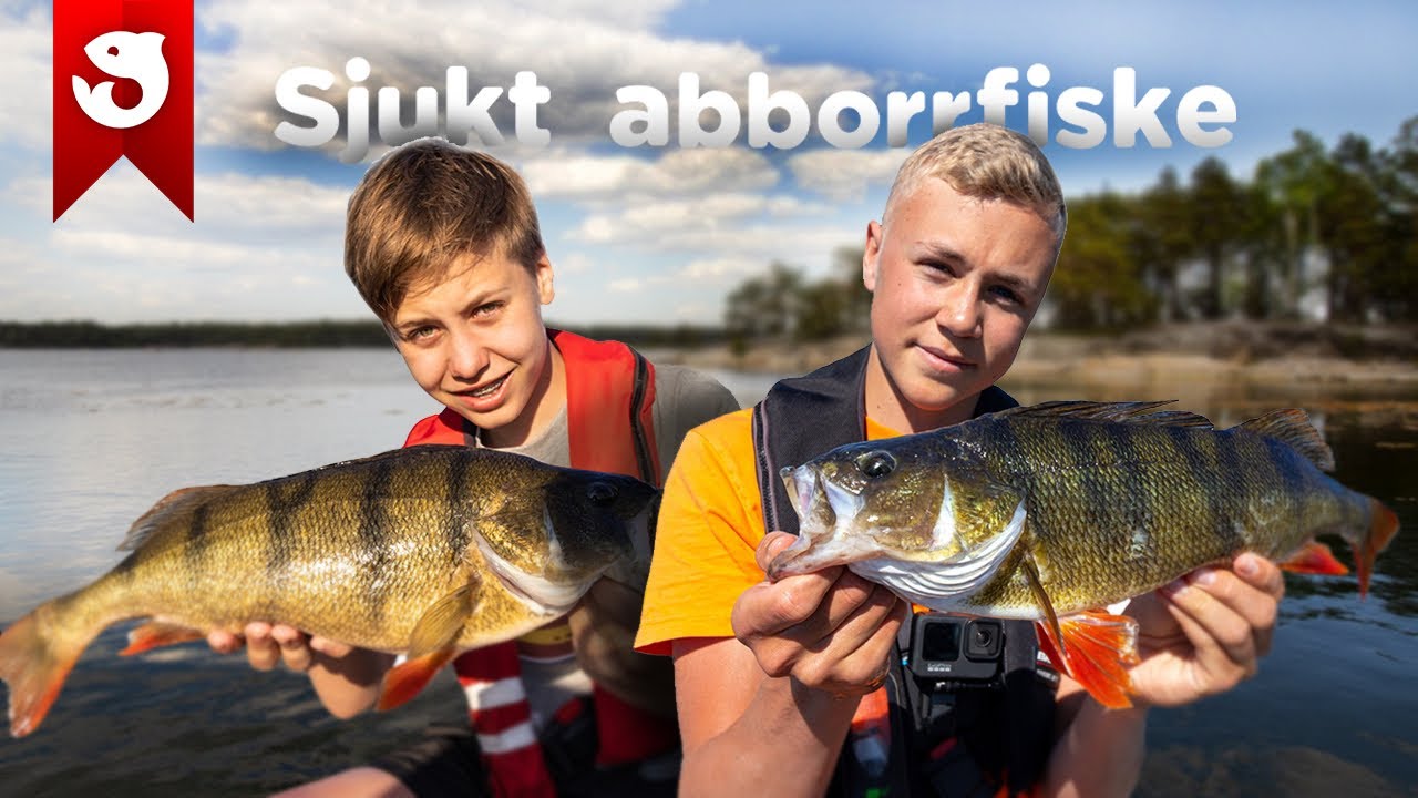 SJUKT ABBORRFISKE! *snittvikt &ouml;ver kilot*
