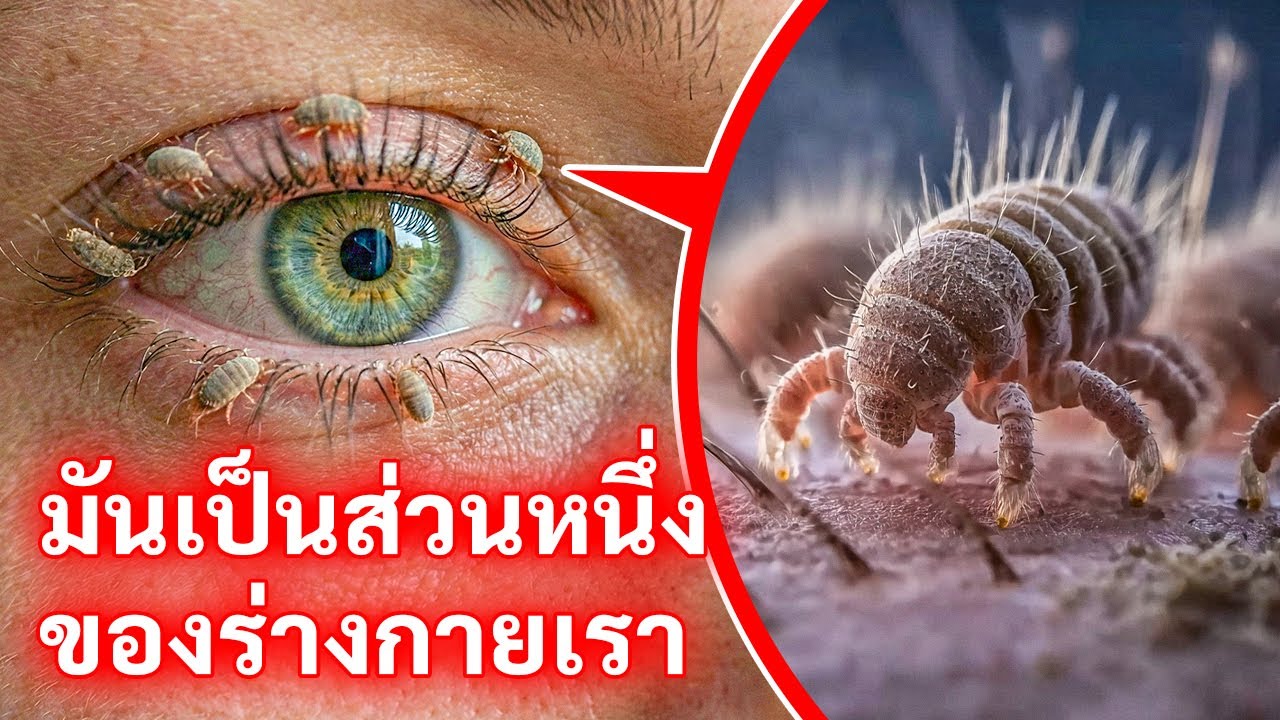 ร่างกายมนุษย์นั้นแปลกประหลาดแค่ไหนกันแน่