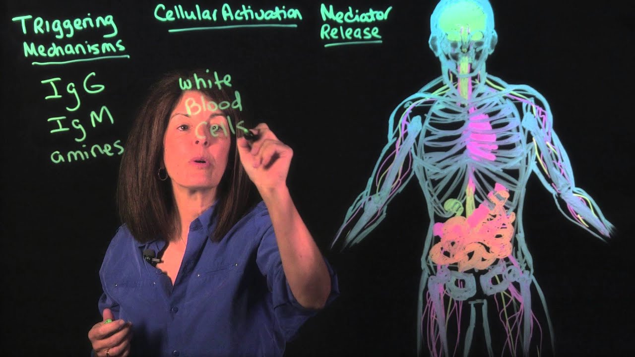 Best Food Sensitivity Test: IgG vs MRT