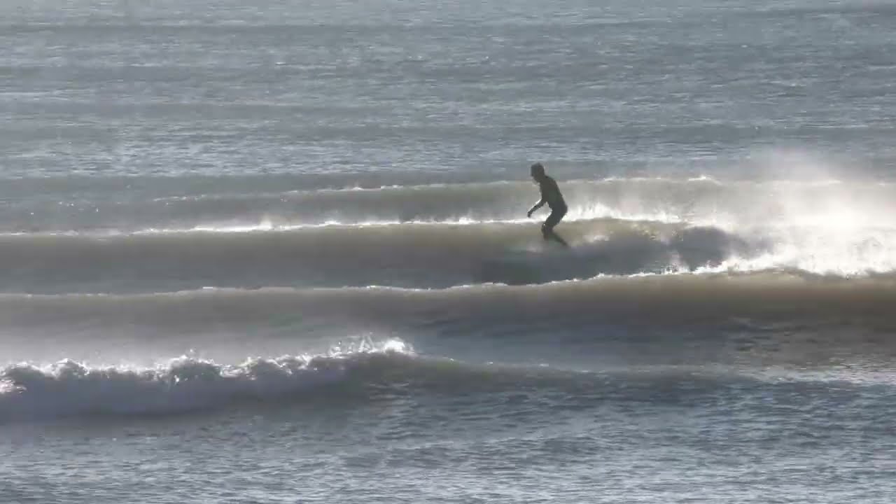 Surfside 2-15-2026 Dump #7