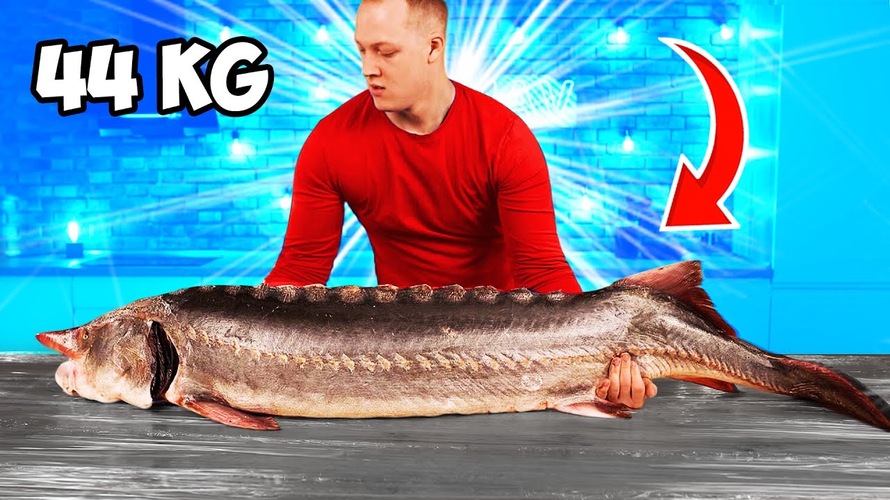 44 kg Ogromny Jesiotr Przepis | Wielki Jesiotr Gotowanie i Jedzenie VANZAI