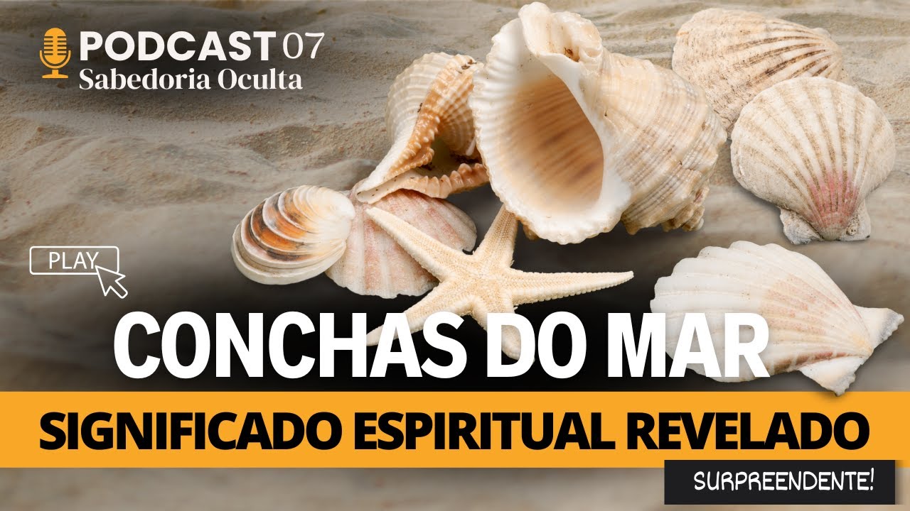 SIGNIFICADO ESPIRITUAL das CONCHAS DO MAR | MENSAGENS OCULTAS nos SONHOS e no SIMBOLISMO das conchas