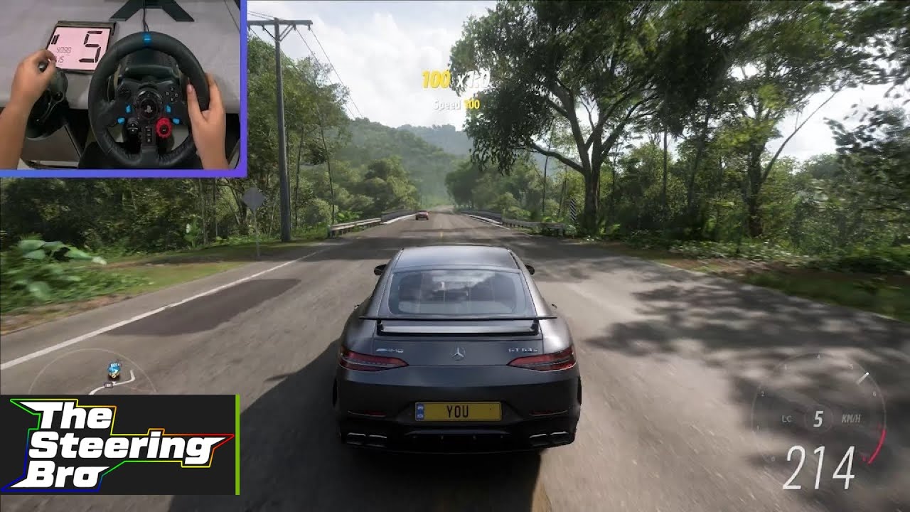 Playing With Steering Wheel For The First Time | Forza Horizon 5 | The Steering Bro
