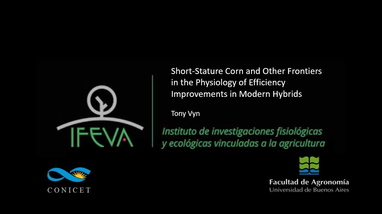 Short-Stature Corn and OtherFrontiers in the Physiology of Efficiency Improvements in Modern Hybrids