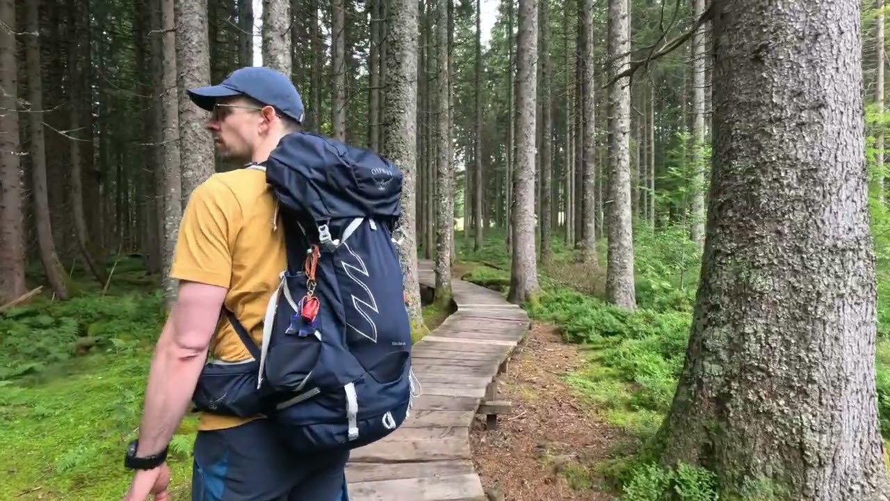 Zauberwald 🧙 Oberlehen inkl.  Erweiterung (Kurzvideo)