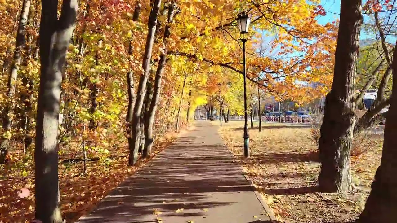 Listopadowa ulica Jana Kasprowicza | Stare Bielany